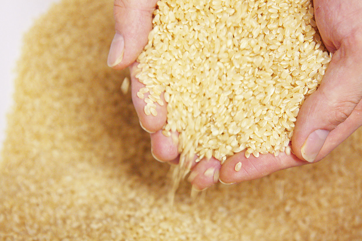 100％道産米使用『ふっくりんこ』『ゆめぴりか』 | 【北海道観光大使の